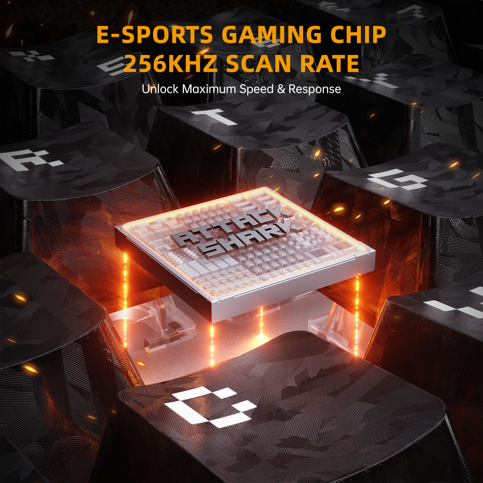 ATTACK SHARK R68 HE & R11 ULTRA Carbon Fiber Gaming Bundel Met C01 ULTRA Opgerolde Kabel