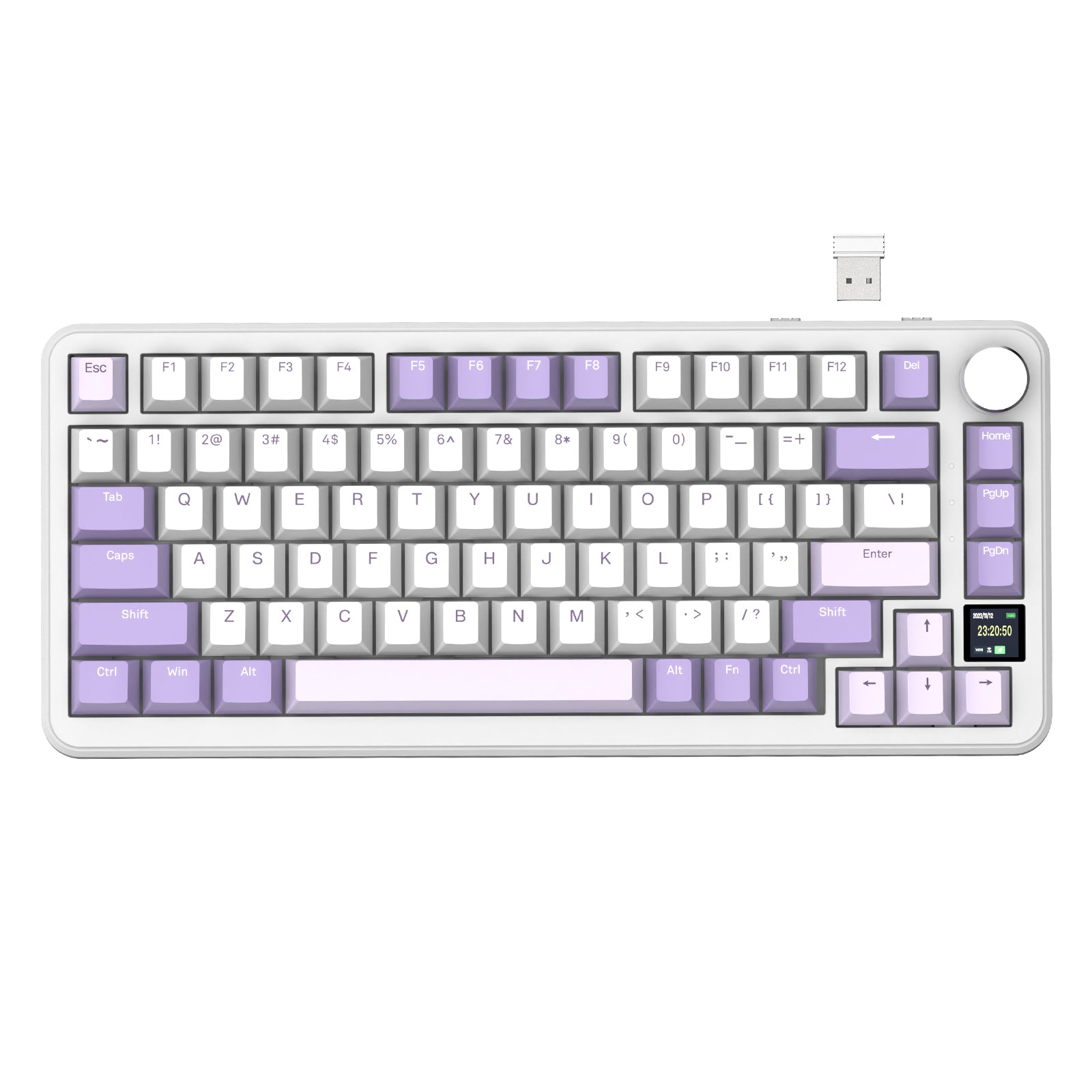 Lavender / Blueberry Switch (Linear)