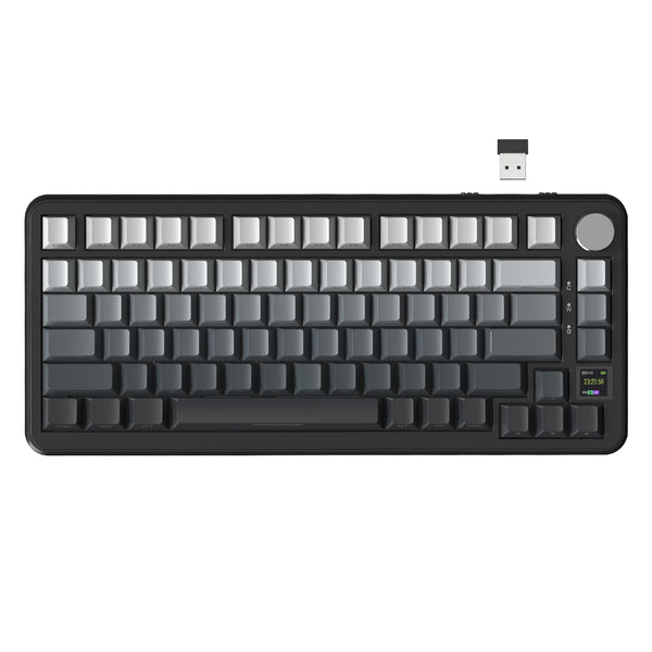 Maanlicht / Blueberry Switch (Lineair)
