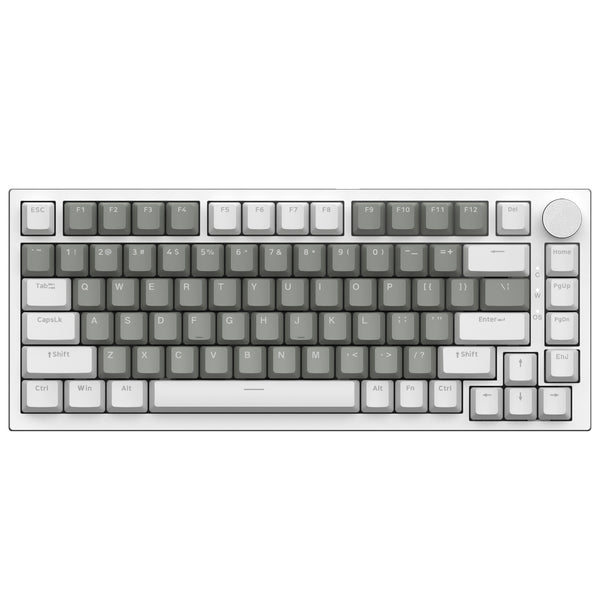 Wit & Grijs (HP Tactiele Switch,Witte Verlichting)