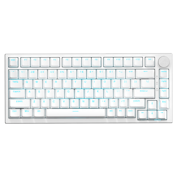 Wit (Klikbare Blauwe Switch,IJsblauwe Verlichting)