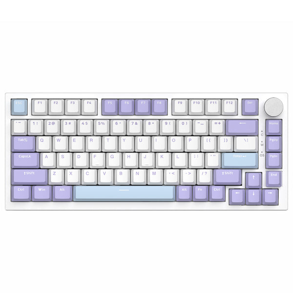Wit Paars (Zeezout Switch,RGB Verlichting)