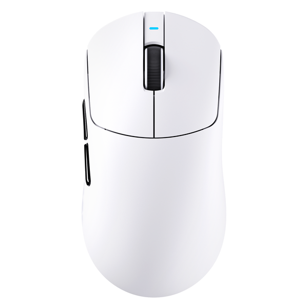 Wit / X8ULTIMATE